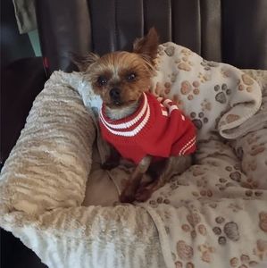 Meet your Posher, Rosalie